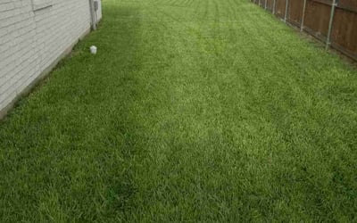 Photo of Sharic D.'s yard after getting lawn care in McAllen, TX