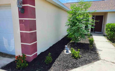 Photo of Jennifer A.'s yard after getting landscaping in Davenport, FL