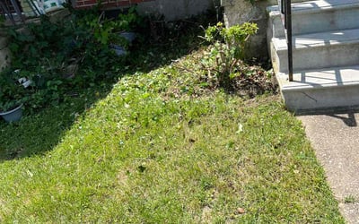 Photo of Elizabeth M.'s yard after getting landscaping in Brooklyn, MD