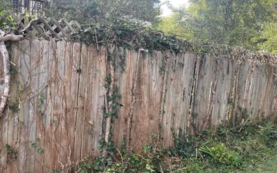 Photo of Morgan E.'s yard after getting landscaping in Freeman, MO