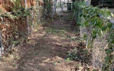 Photo of Eric M.'s yard after getting landscaping in Commerce, TX