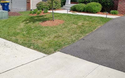 Photo of David L.'s yard after getting landscaping in Berryville, VA