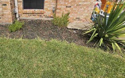 Photo of Wendy W.'s yard after getting landscaping in North Houston, TX