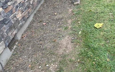 Photo of Amy S.'s yard after getting landscaping in Mayview, MO