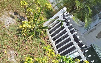 Photo of Ben F.'s yard after getting tree care in Englewood, FL