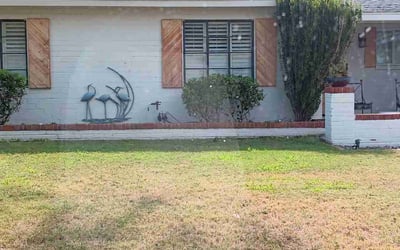 Photo of David W.'s yard after getting landscaping in Phoenix, AZ