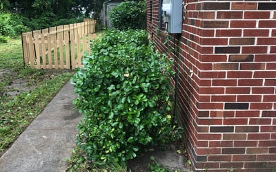 Photo of Amber T.'s yard after getting landscaping in Ordinary, VA