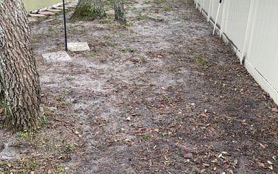 Photo of Eric S.'s yard after getting landscaping in Ferndale, FL