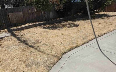 Photo of Jessica A.'s yard after getting landscaping in Sacramento, CA