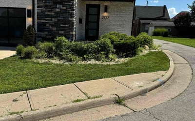 Photo of Calvin A.'s yard after getting tree care in Independence, KY