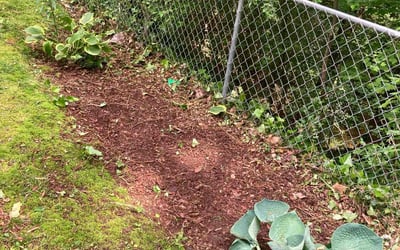 Photo of Muriel O.'s yard after getting landscaping in Warm Springs, GA