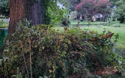 Photo of Matthew M.'s yard after getting landscaping in Van Wyck, SC