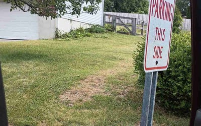 Photo of Calvin A.'s yard after getting tree care in Middletown, OH