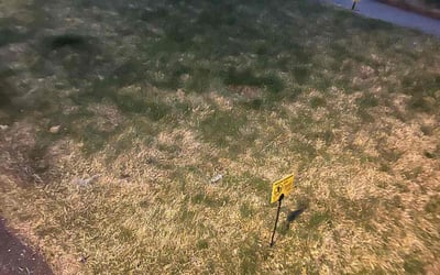 Photo of Jennifer D.'s yard after getting landscaping in Orange, CT