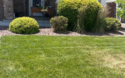 Photo of Eric R.'s yard after getting landscaping in Calhan, CO