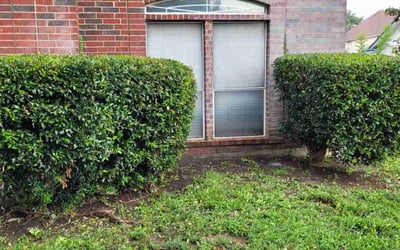 Photo of Sharon S.'s yard after getting landscaping in Prairie Lea, TX