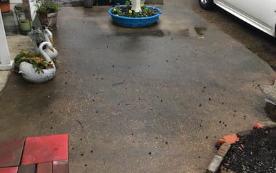 Photo of Linda H.'s yard after getting landscaping in Brighton, TN