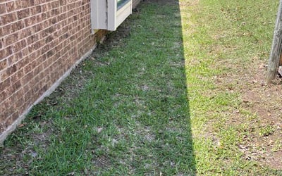 Photo of Rachel W.'s yard after getting landscaping in Garland, TX