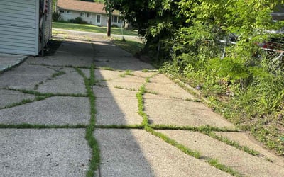 Photo of Bruce C.'s yard after getting landscaping in Elyria, OH