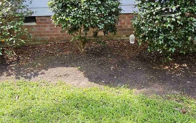 Photo of Pamela M.'s yard after getting landscaping in Ladysmith, VA