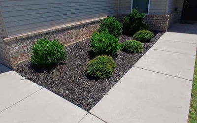 Photo of Emily N.'s yard after getting landscaping in Oklahoma City, OK