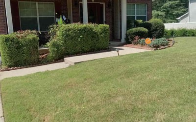 Photo of Joshua J.'s yard after getting tree care in Mcdonough, GA