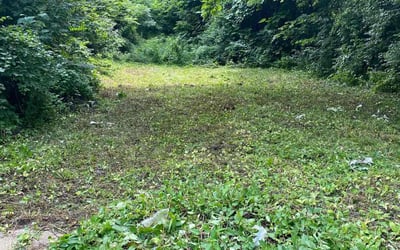 Photo of Sharon B.'s yard after getting landscaping in Osawatomie, KS