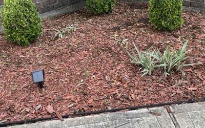 Photo of Richard R.'s yard after getting landscaping in Freeport, TX