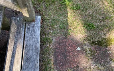 Photo of Andrew G.'s yard after getting lawn care in Brewster, MA