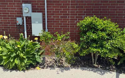 Photo of Elizabeth W.'s yard after getting landscaping in Rockwall, TX