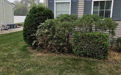 Photo of Catherine C.'s yard after getting landscaping in Yorktown Heights, NY