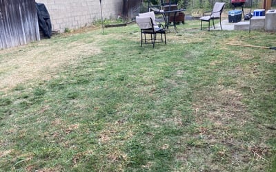 Photo of Anthony G.'s yard after getting landscaping in North Hills, CA