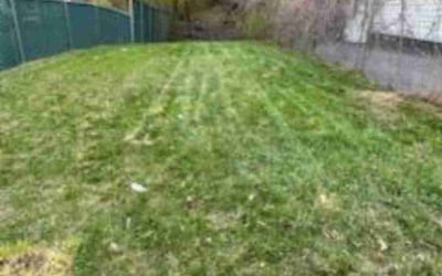 Photo of Cynthia G.'s yard after getting landscaping in Oneida, NY
