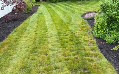 Photo of Michelle M.'s yard after getting landscaping in Kannapolis, NC
