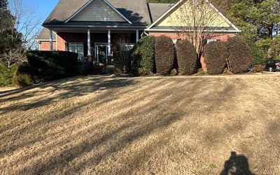 Photo of Chris M.'s yard after getting tree care in Conyers, GA