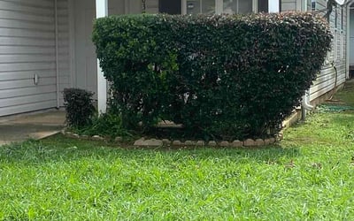 Photo of Simone S.'s yard after getting landscaping in Griffin, GA