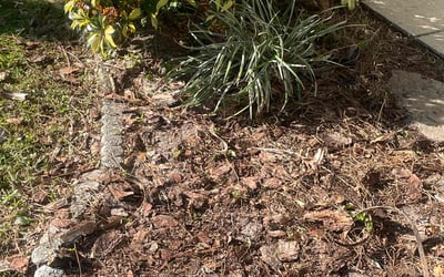 Photo of Jennifer M.'s yard after getting landscaping in Kathleen, FL
