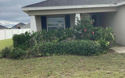 Photo of Craig A.'s yard after getting landscaping in Eaton Park, FL