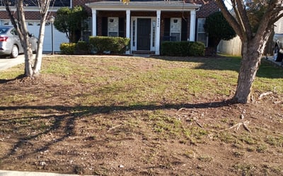 Photo of Mary S.'s yard after getting landscaping in Cleveland, NC
