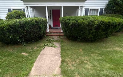 Photo of Marilyn M.'s yard after getting landscaping in Hamden, CT