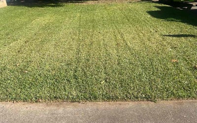 Photo of Julie H.'s yard after getting landscaping in Greenwood, TX