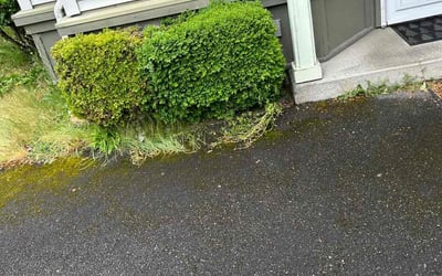 Photo of Linda F.'s yard after getting landscaping in Fall City, WA