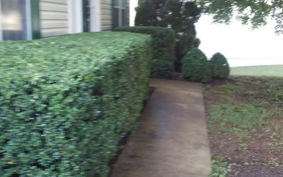 Photo of Peter K.'s yard after getting landscaping in Broomes Island, MD