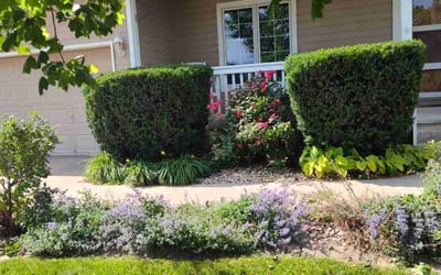 Photo of Troy R.'s yard after getting landscaping in Omaha, NE