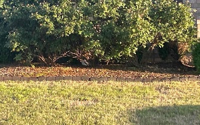 Photo of Jonathan B.'s yard after getting landscaping in Huntsville, AL