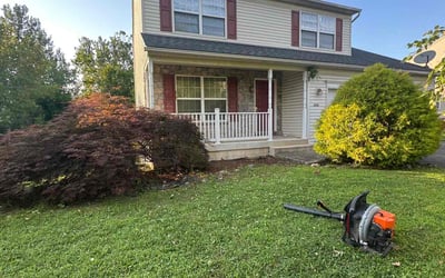 Photo of John G.'s yard after getting landscaping in Easton, PA