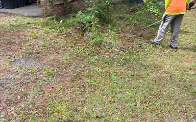 Photo of Mike R.'s yard after getting landscaping in Summerville, SC