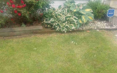 Photo of Carrie M.'s yard after getting landscaping in Cleveland, OH