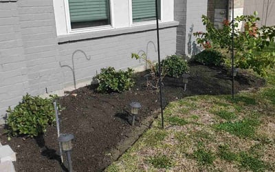 Photo of Amanda P.'s yard after getting landscaping in Daisetta, TX
