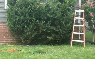 Photo of Robert S.'s yard after getting landscaping in Brookville, OH